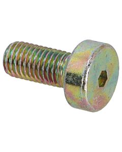 Klepdeksel schroef B27A 15mm (carb motor) M7 x 15 260