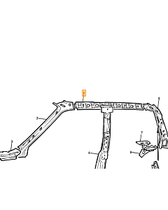 body wall, l