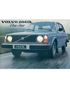 Poster DL Blue star op autoweg  reproductie